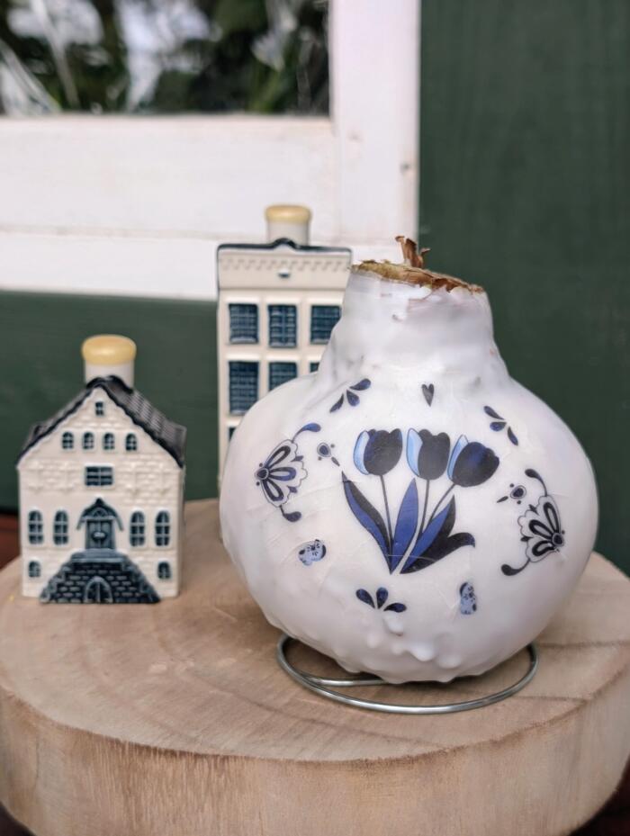 Delft Wax Amaryllis - Image 2