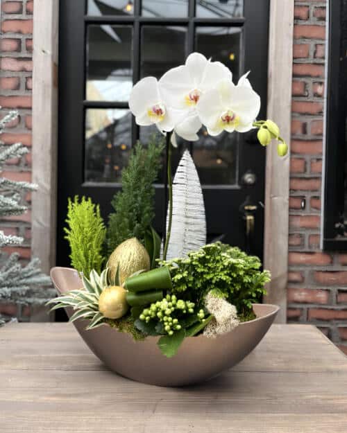 Winter Luxe Orchid Planter