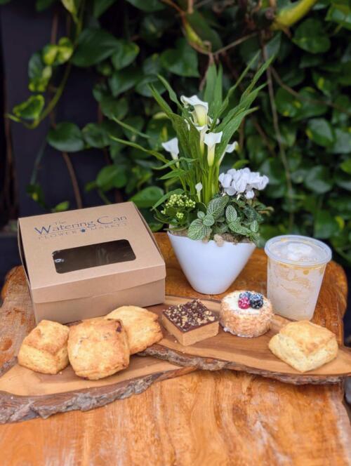 A branded Watering Can kraft pastry box on a wooden board with scones, a chocolate square, a berry mini cake, an iced latte, and a white pot of calla lilies and cyclamen.