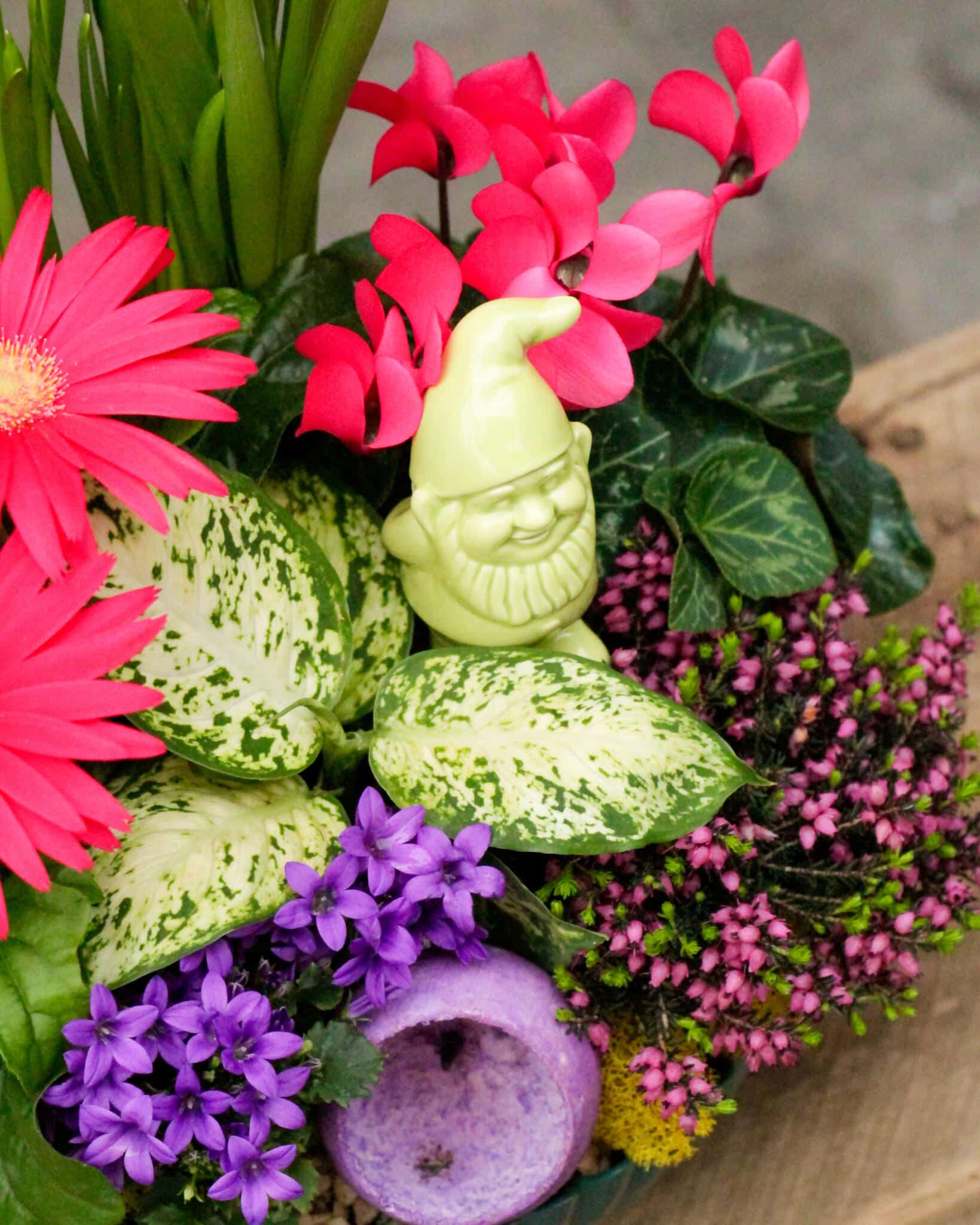 Gnome Sweet Gnome - Image 3