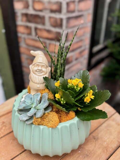 Gnomebody Grows It Better