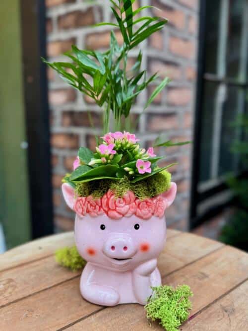 Pink Piglet