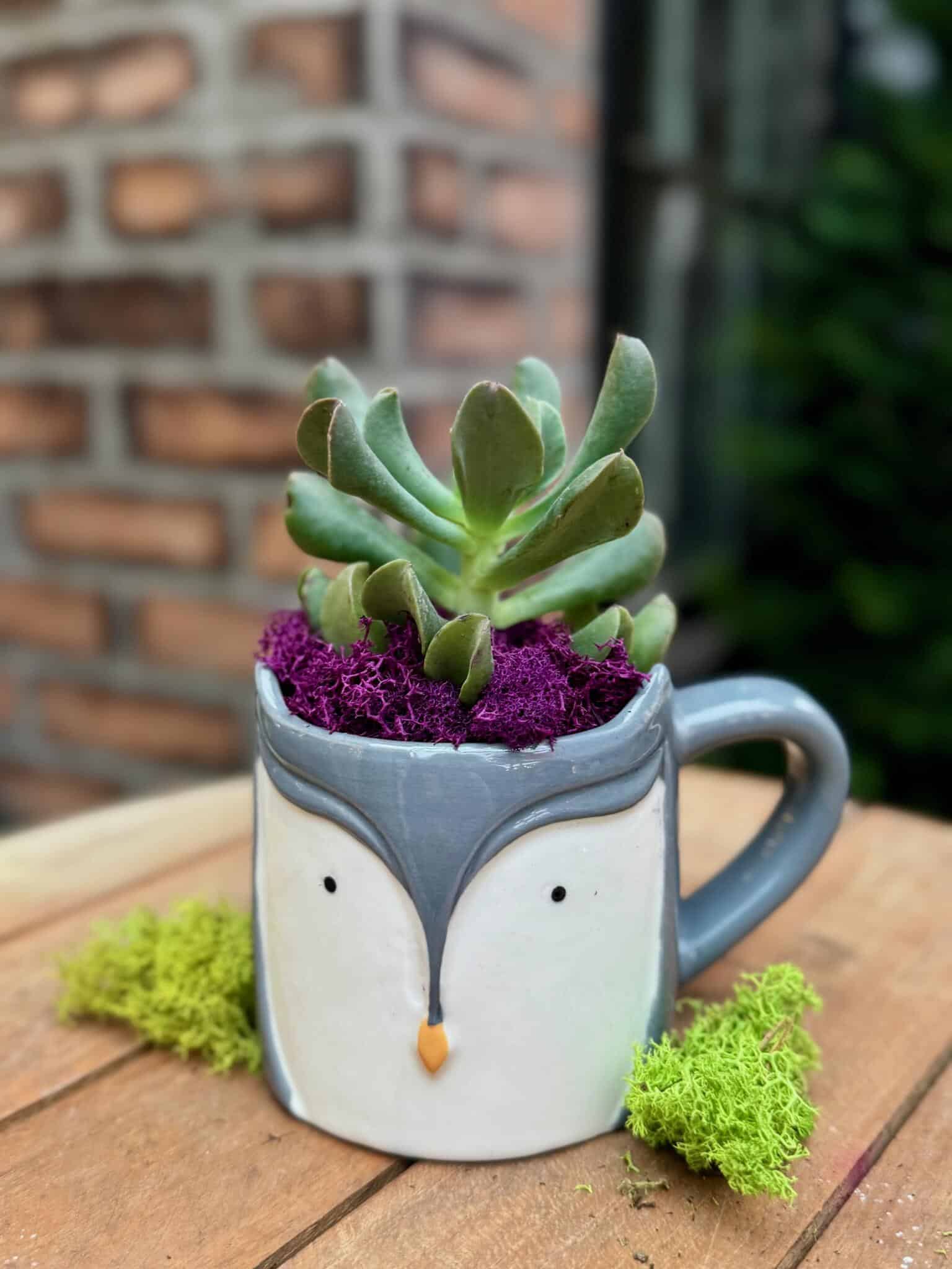 Olly the Owl Mug