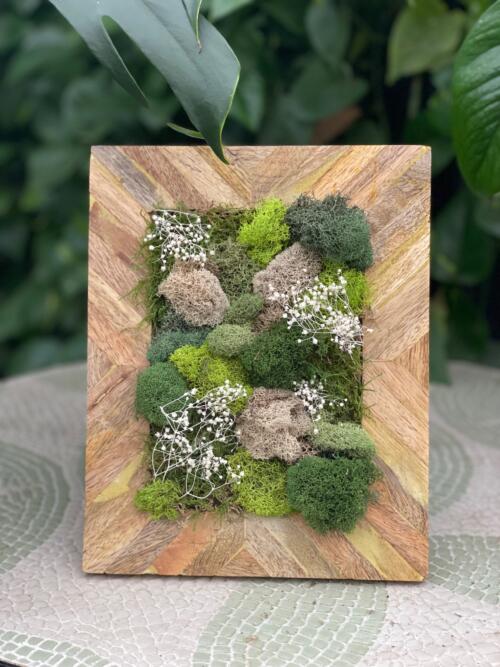 Moss Art