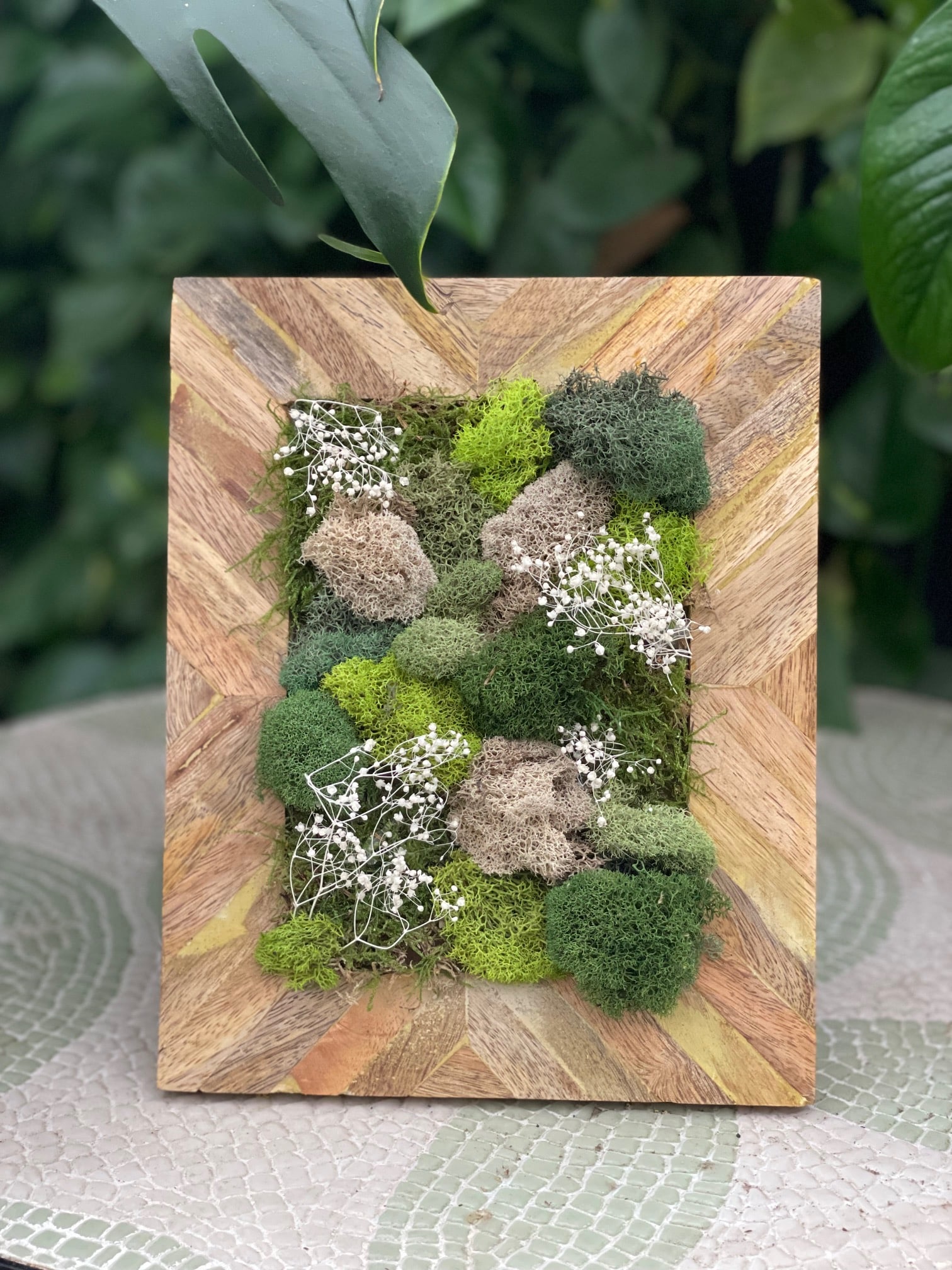 Moss Art