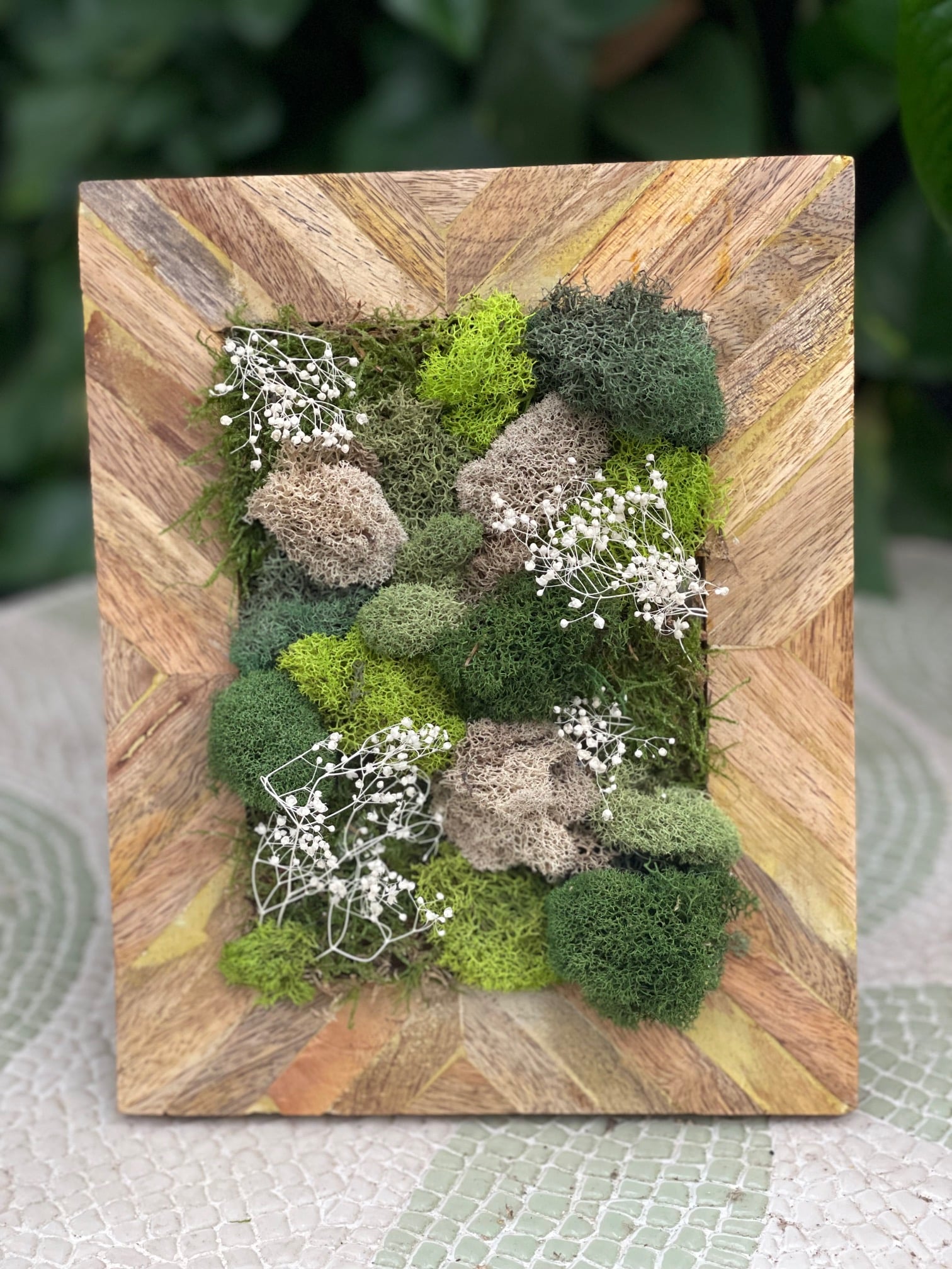 Moss Art - Image 2