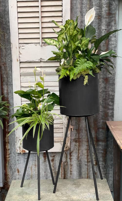 Fresh Air Planters