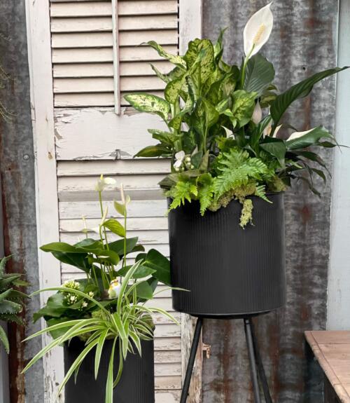 Fresh Air Planters