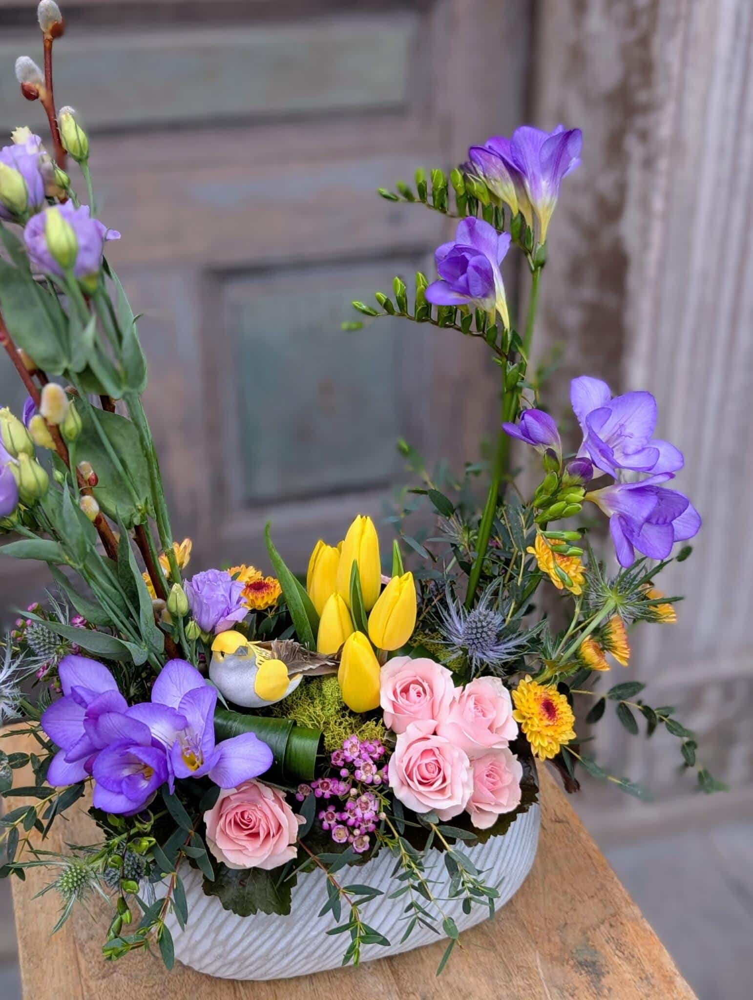 Early Bird - Image 2