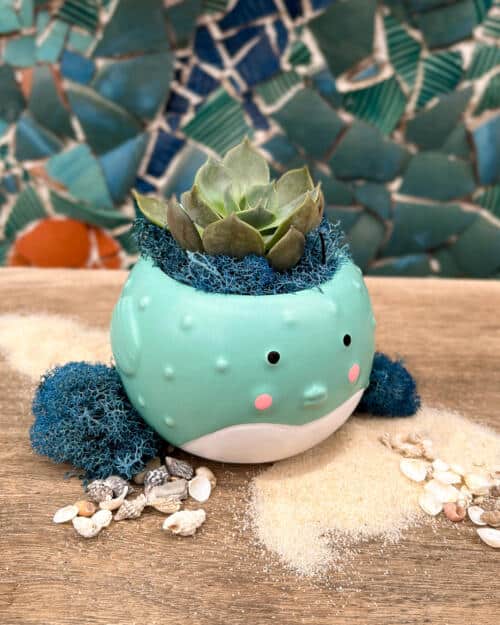 Bubble Trouble Blowfish