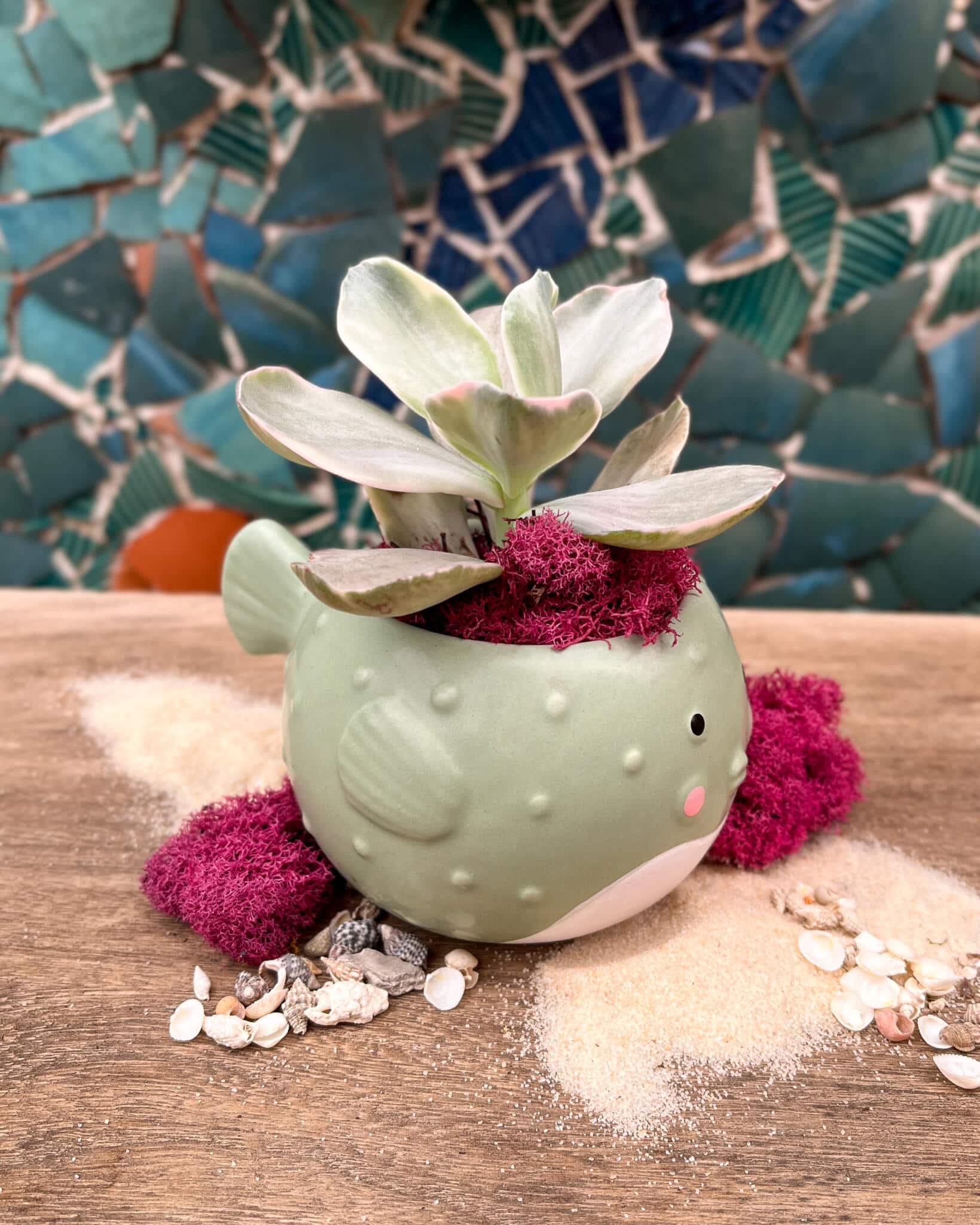 Pudge the Blowfish - Image 2