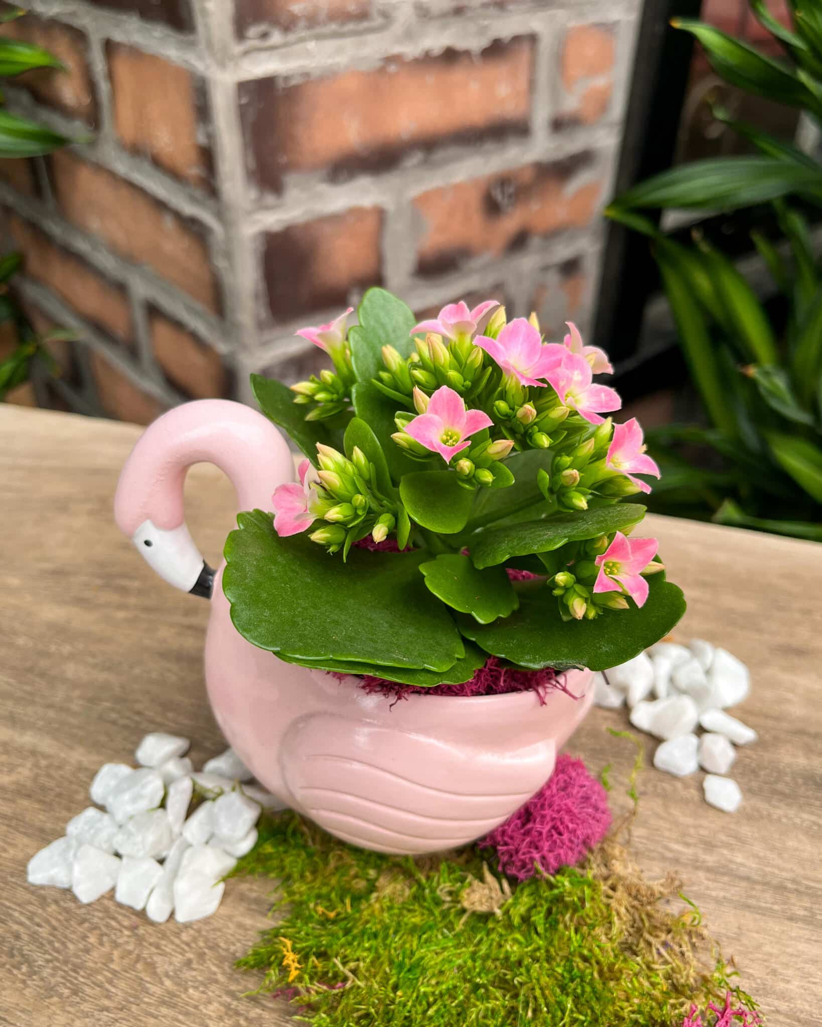 Flamingo Flair - Image 2