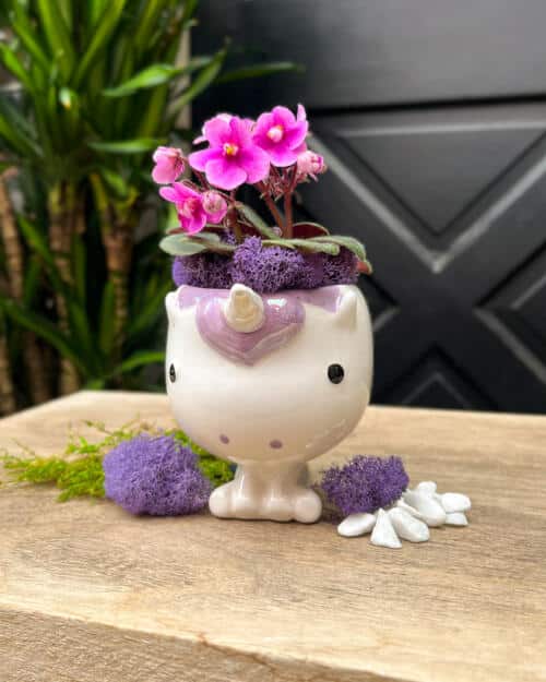 Stardust the Unicorn