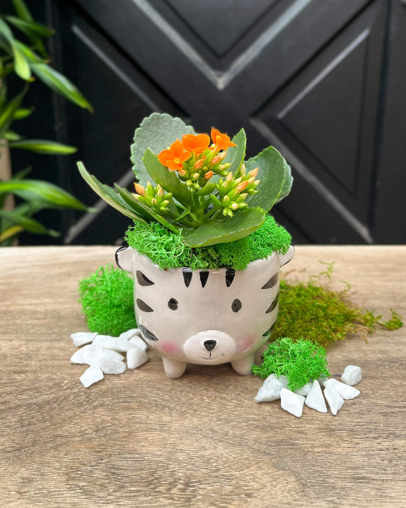 Roary the Tiger - Image 2