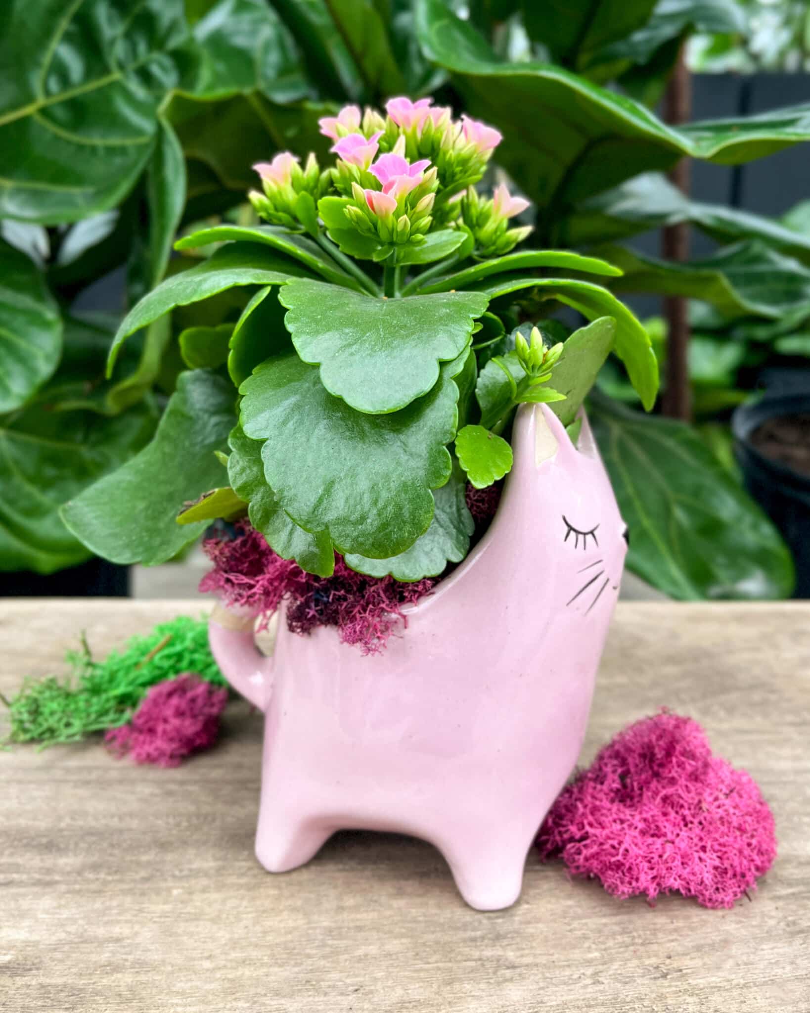 Pawsitively Pink Cat - Image 2