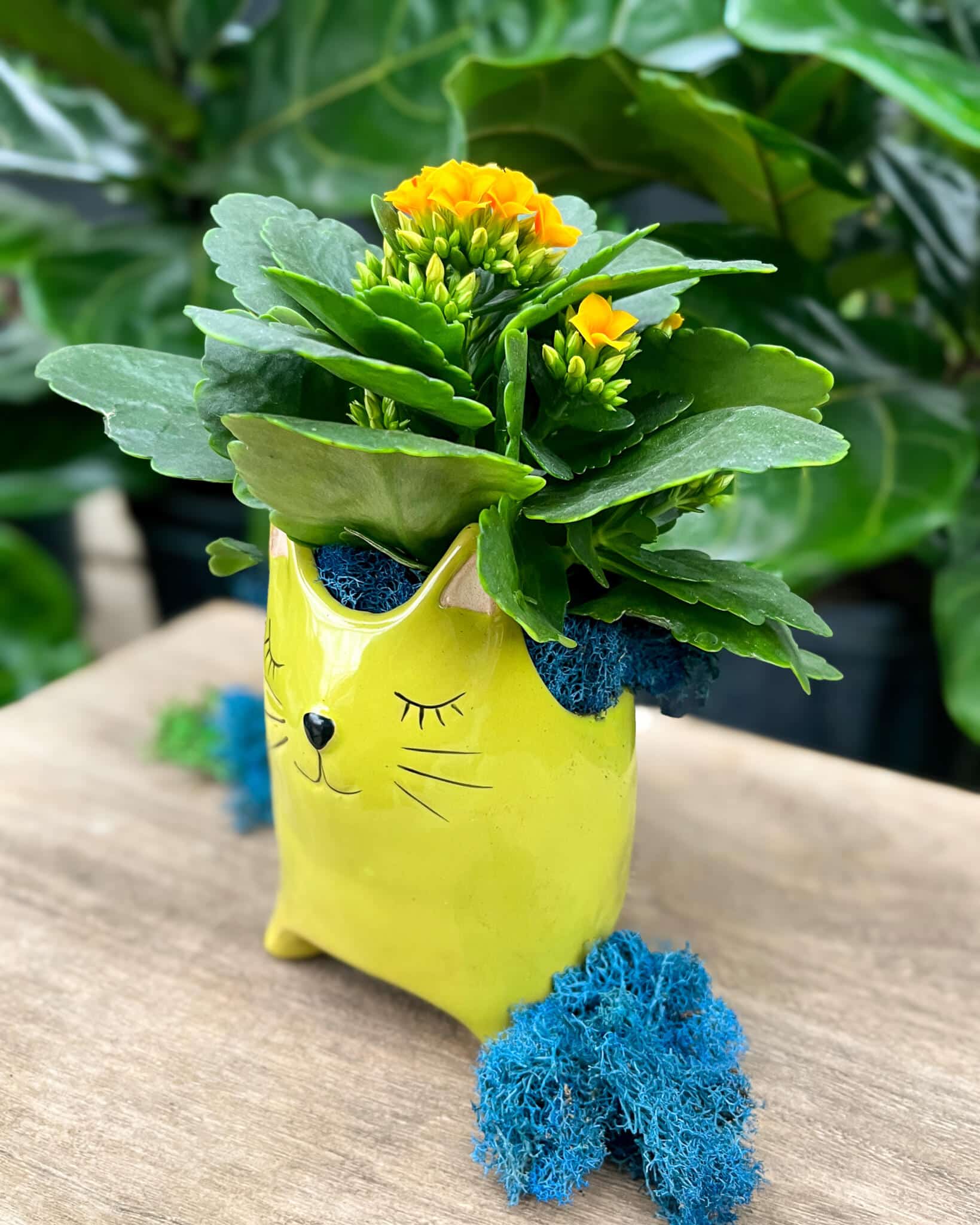 Furrball the cat - Image 2