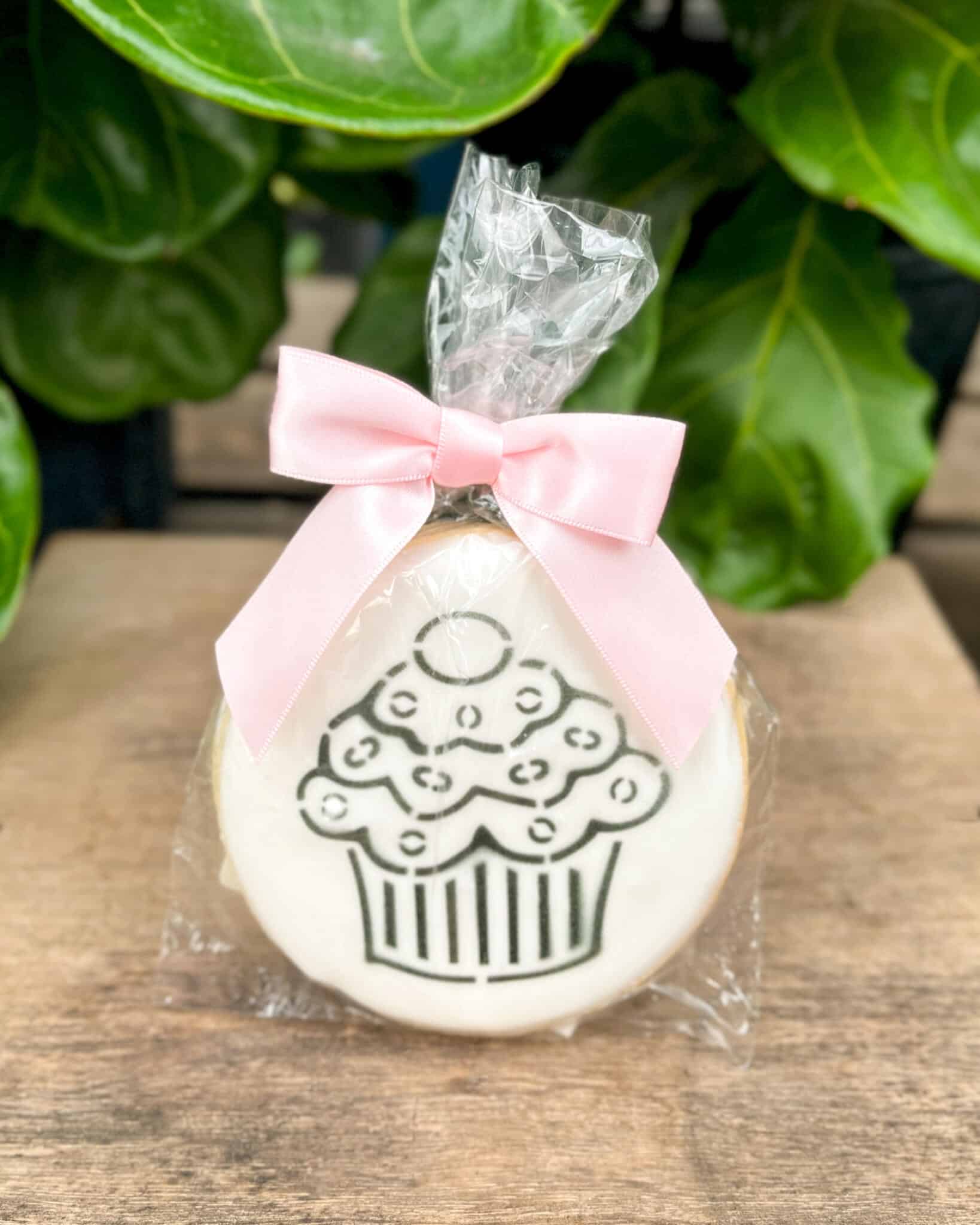 Paint Your Own Cookie