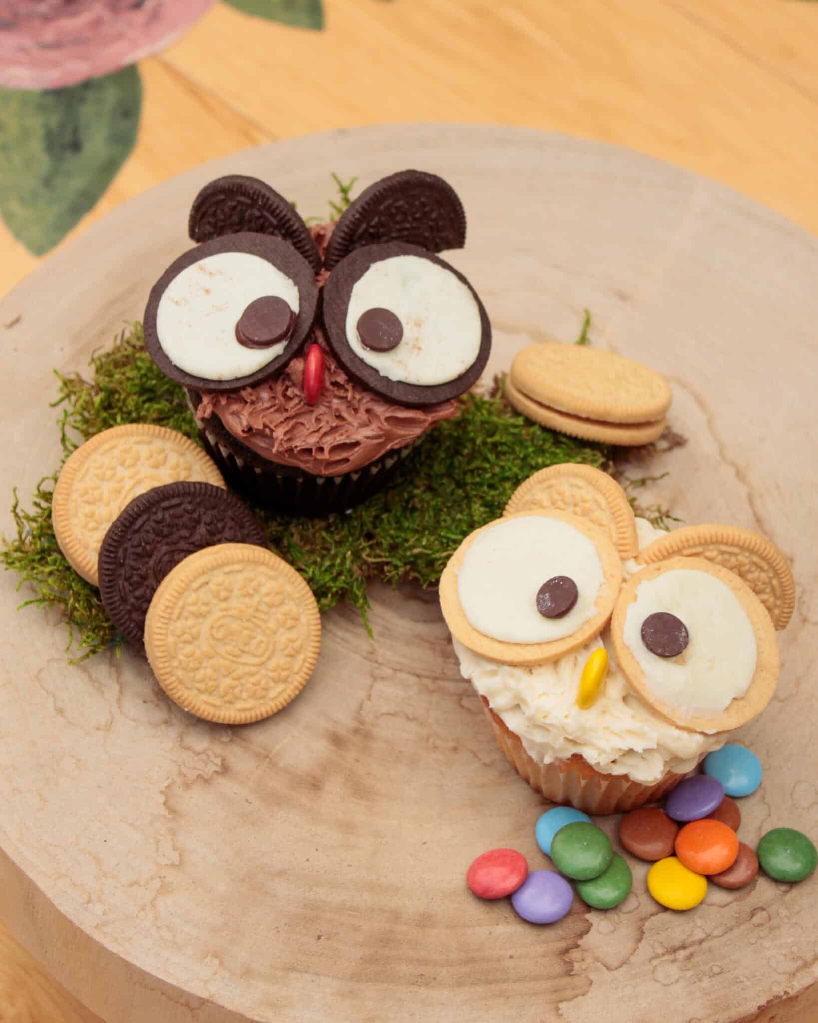 Little Hoots Cupcakes