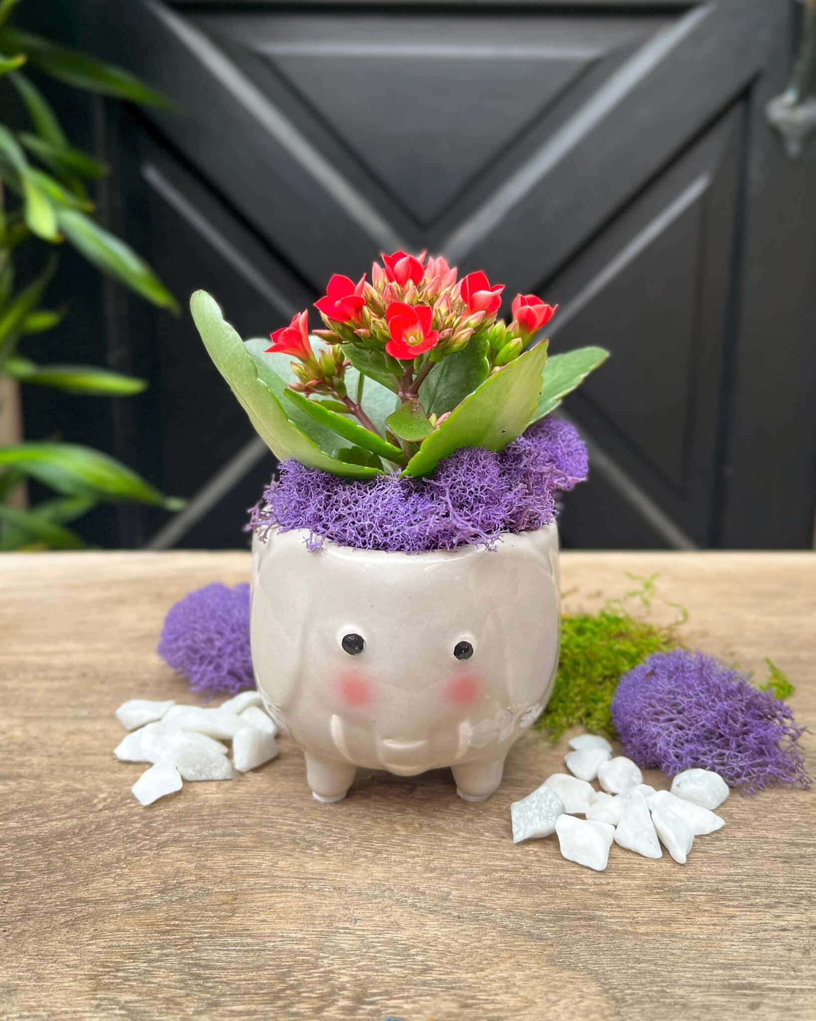 Tiny Tusks the Elephant - Image 2