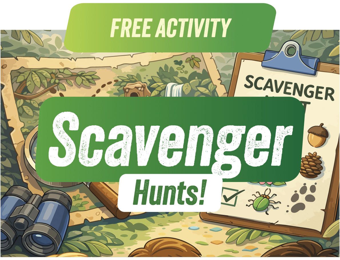2-ScavengerHunts-WebpageAssets