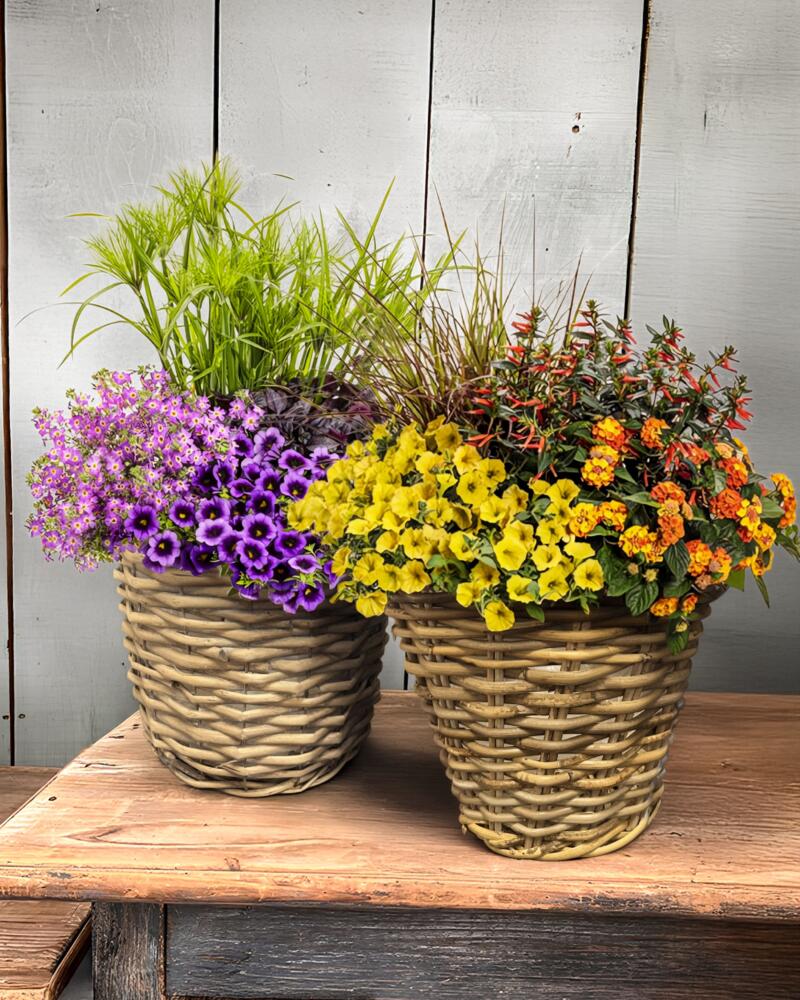 Summer Planters | The Watering Can Flower Market