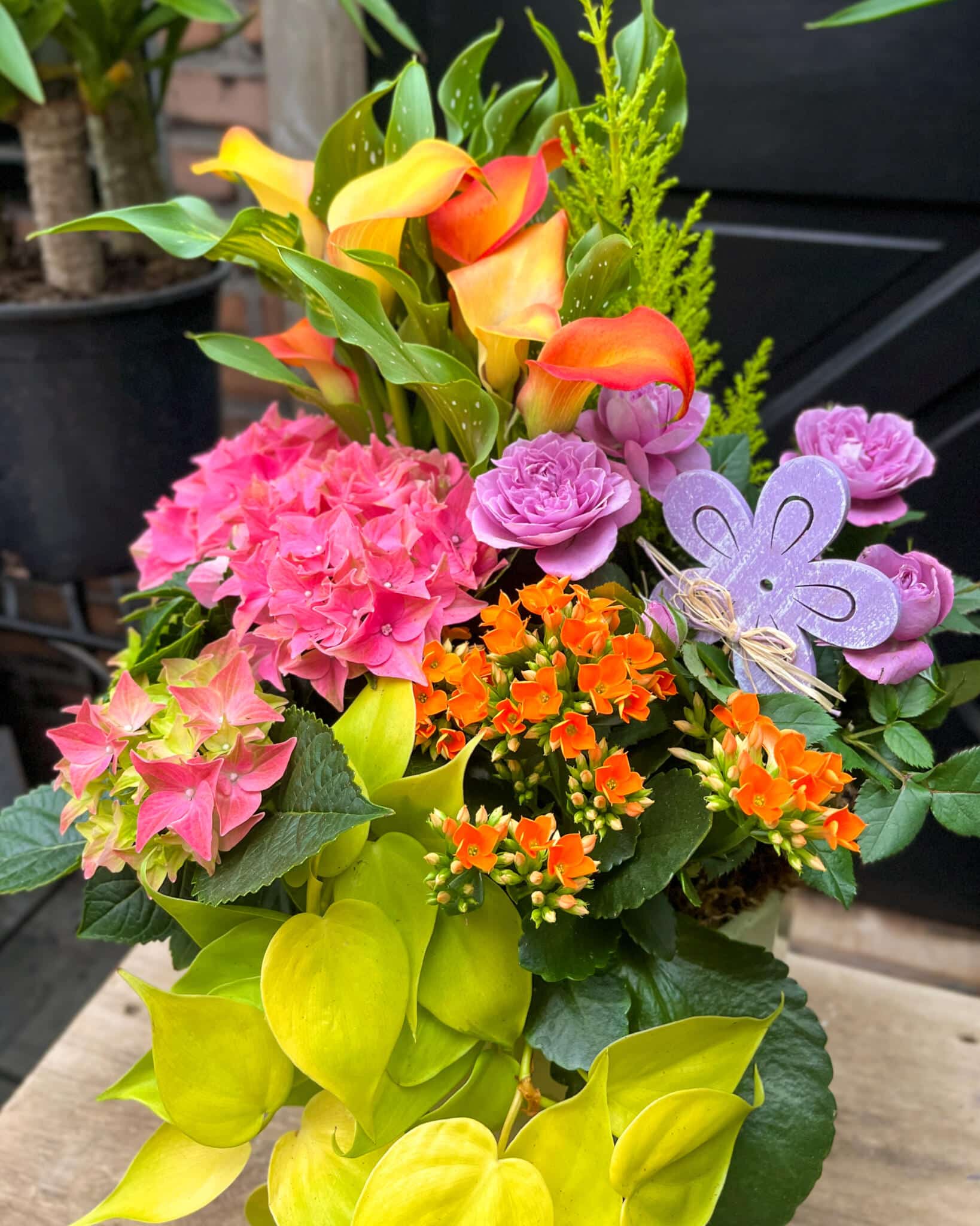 Hop into Spring - Image 2