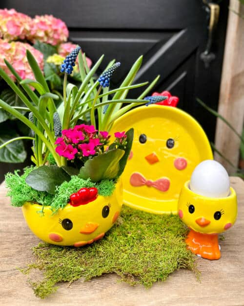 Yellow ceramic chick-shaped planter with pink kalanchoe and purple grape hyacinth