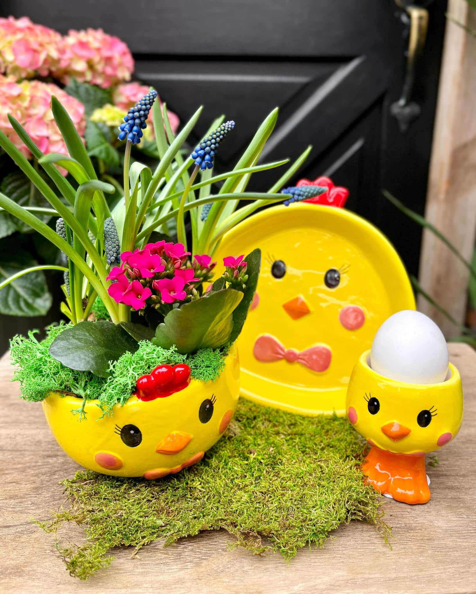 Yellow ceramic chick-shaped planter with pink kalanchoe and purple grape hyacinth
