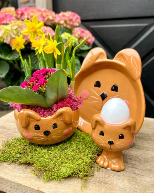 Brown ceramic bear-shaped planter with pink kalanchoe and yellow daffodils
