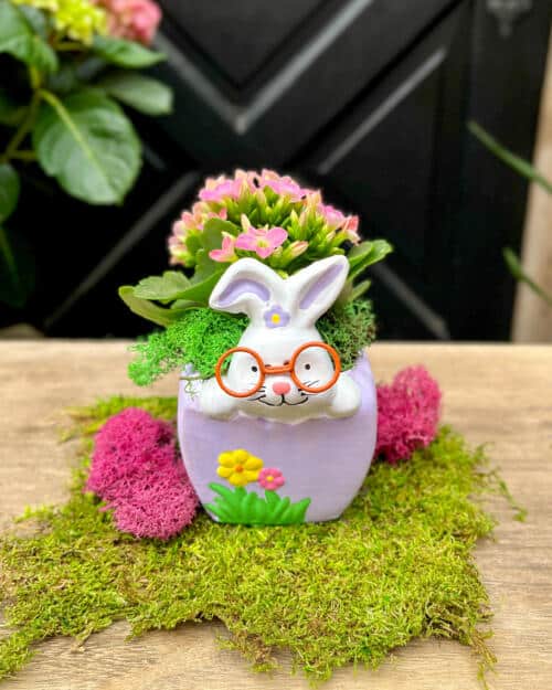 Front view of a lavender ceramic bunny-face planter filled with soft pink kalanchoe flowers