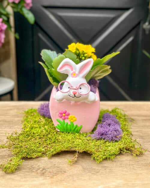 Front-facing lifestyle photo of a pink ceramic bunny Easter planter with yellow kalanchoe flowers on a moss surface