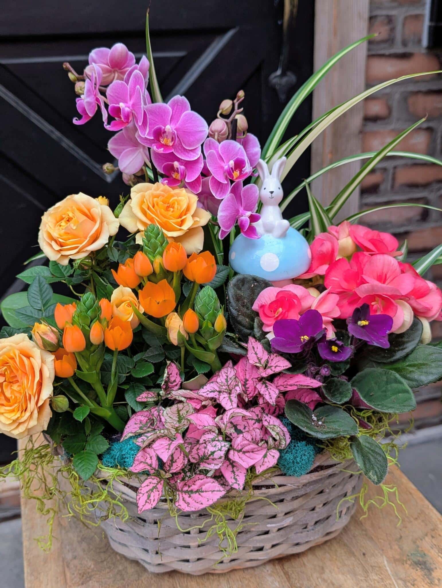 Hoppy Little Garden - Image 2