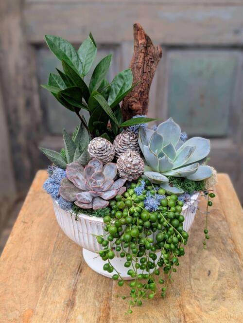 A second view of the Woodland Adventure arrangement from The Watering Can, showcasing its lush mix of succulents, foliage, and natural textures in an earthy composition.