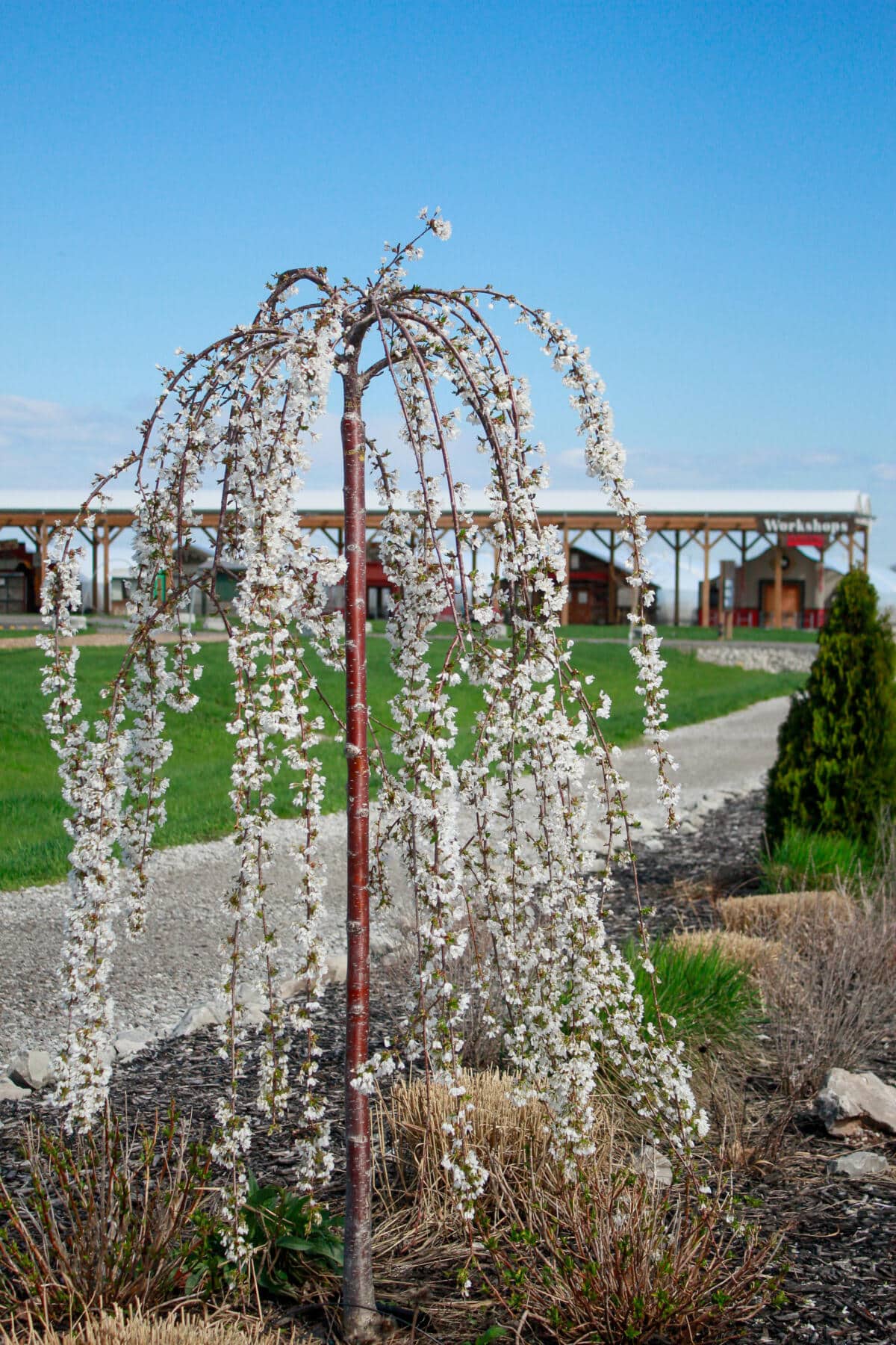 Visit Us | The Watering Can Flower Market