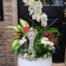 The My Cardinal Angel arrangement from The Watering Can, featuring white orchids, red anthurium-style blooms, and lush tropical foliage with a small angel figurine accent in a white pot.