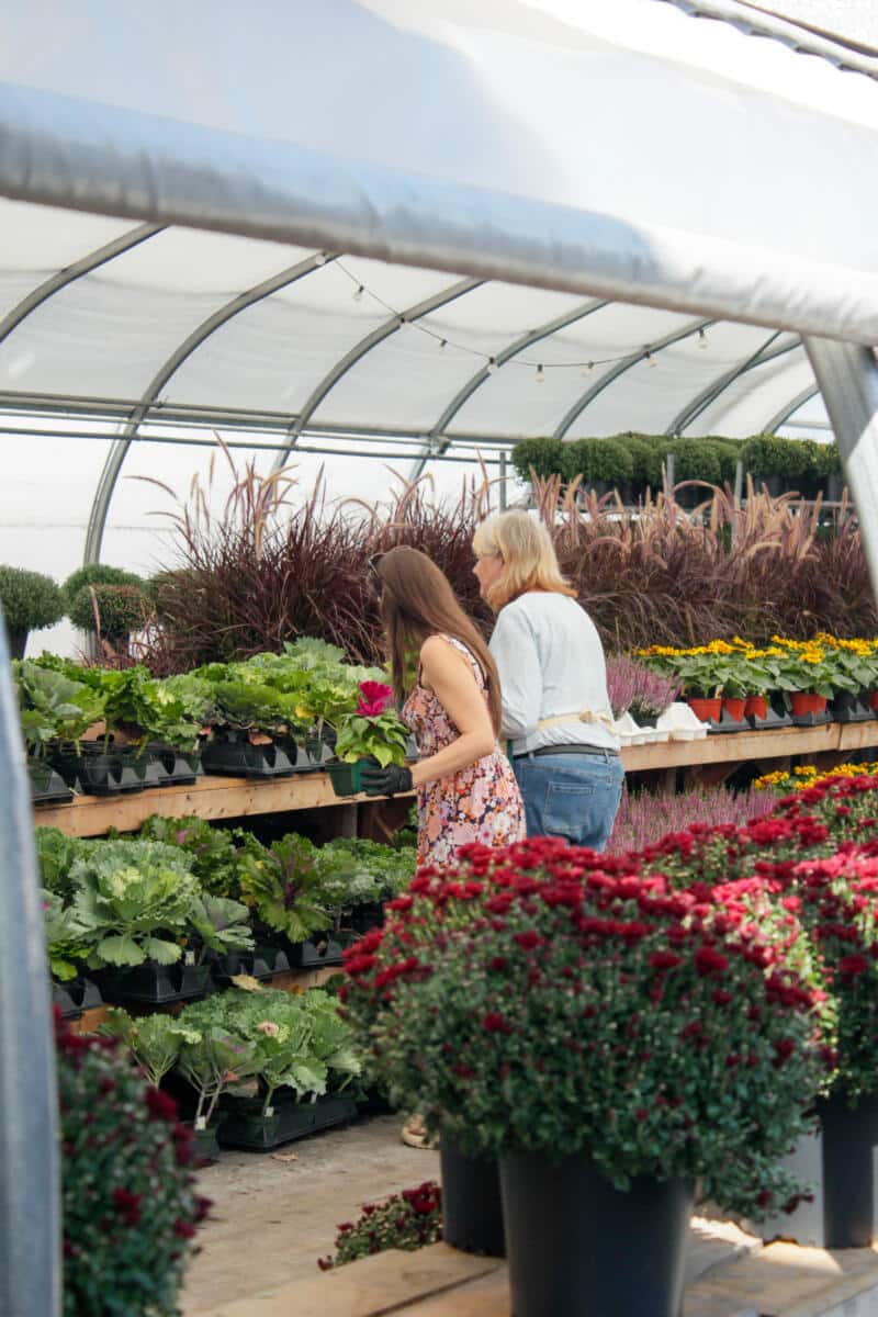 Visit Us | The Watering Can Flower Market