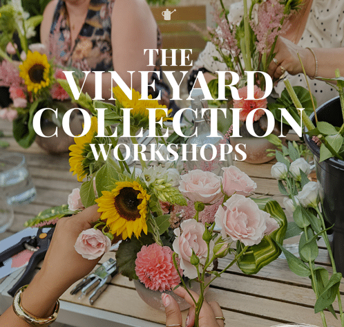 A promotional graphic for The Vineyard Collection Workshops at The Watering Can, featuring the workshop series logo alongside images of flowers and a floral design session.