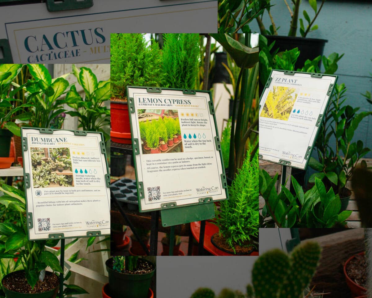 Visit Us | The Watering Can Flower Market