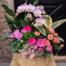 The Flamingo Pink floral arrangement from The Watering Can, a lush basket arrangement featuring bright pink orchids, roses, tropical foliage, and mixed pink blooms.