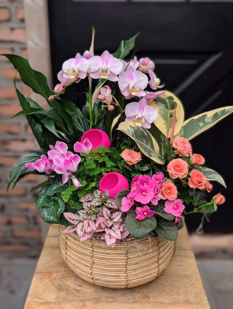 The Watering Can Flower Market | Merchants of Happiness