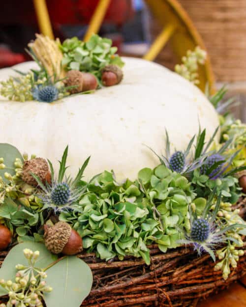 Pumpkin, Thistle & Twig