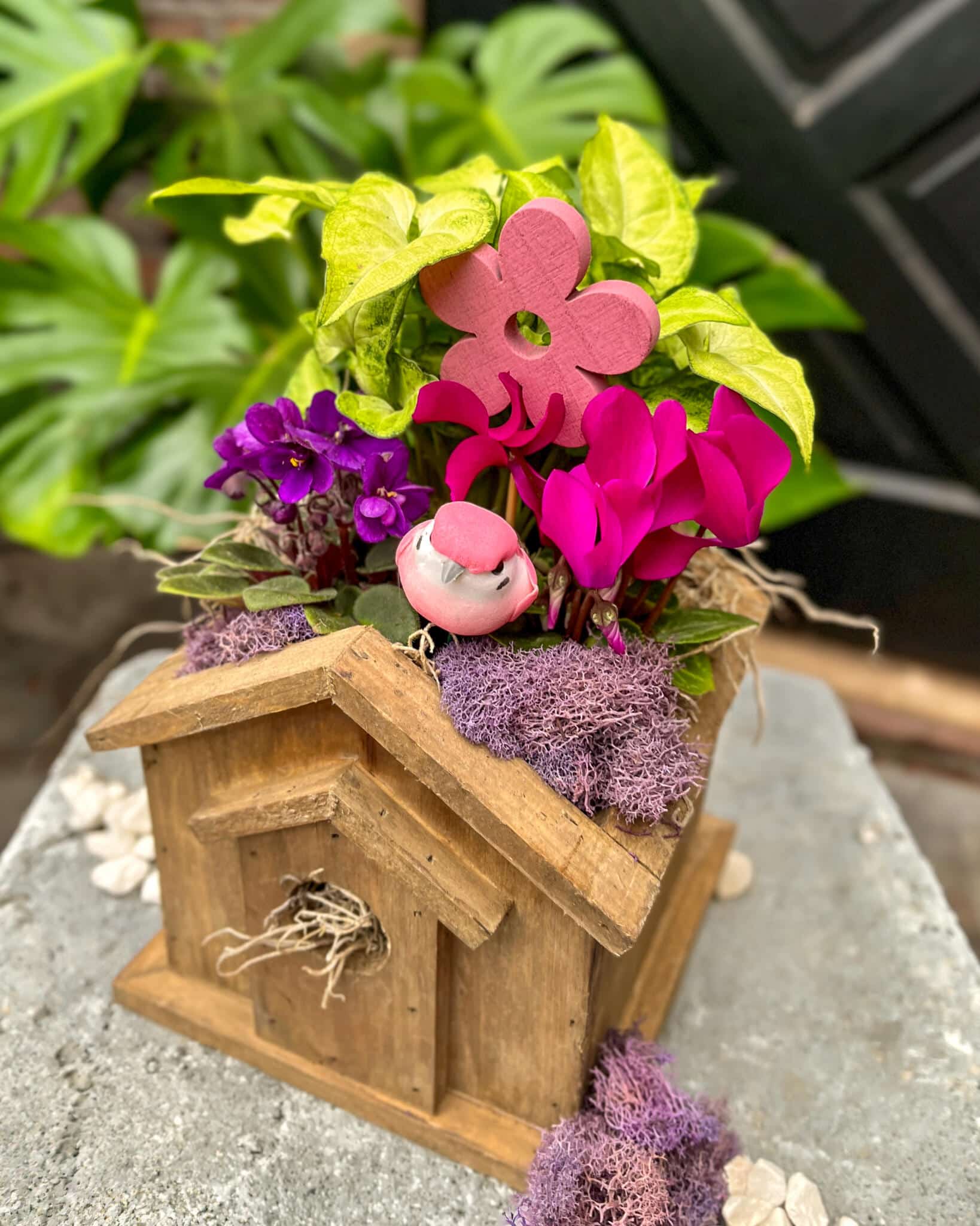 A wooden birdhouse planter overflowing with colourful spring flowers on a neutral background