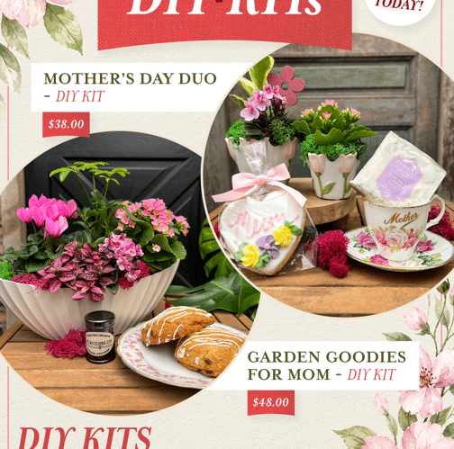 Mother's Day Duo promotional image featuring DIY garden kits and garden goodies from The Watering Can.