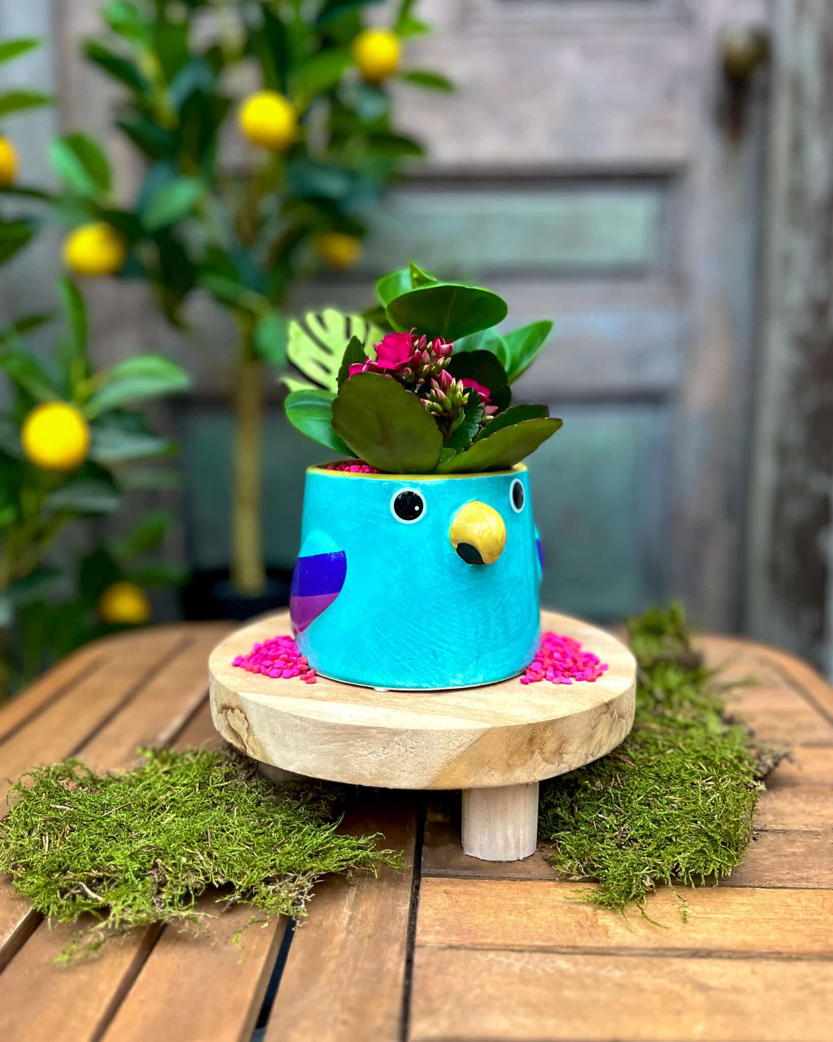 A turquoise hand-painted ceramic bird planter with a yellow beak and purple wing, holding pink kalanchoe with pink pebbles.