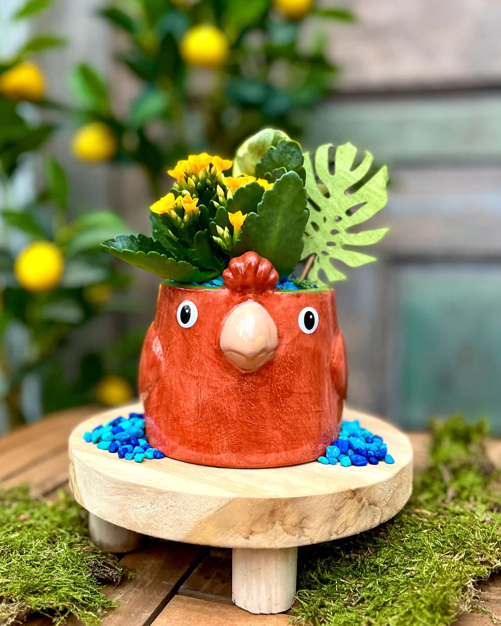 An orange hand-painted ceramic bird planter with a pink beak holding yellow kalanchoe, with blue pebbles on a wood riser.