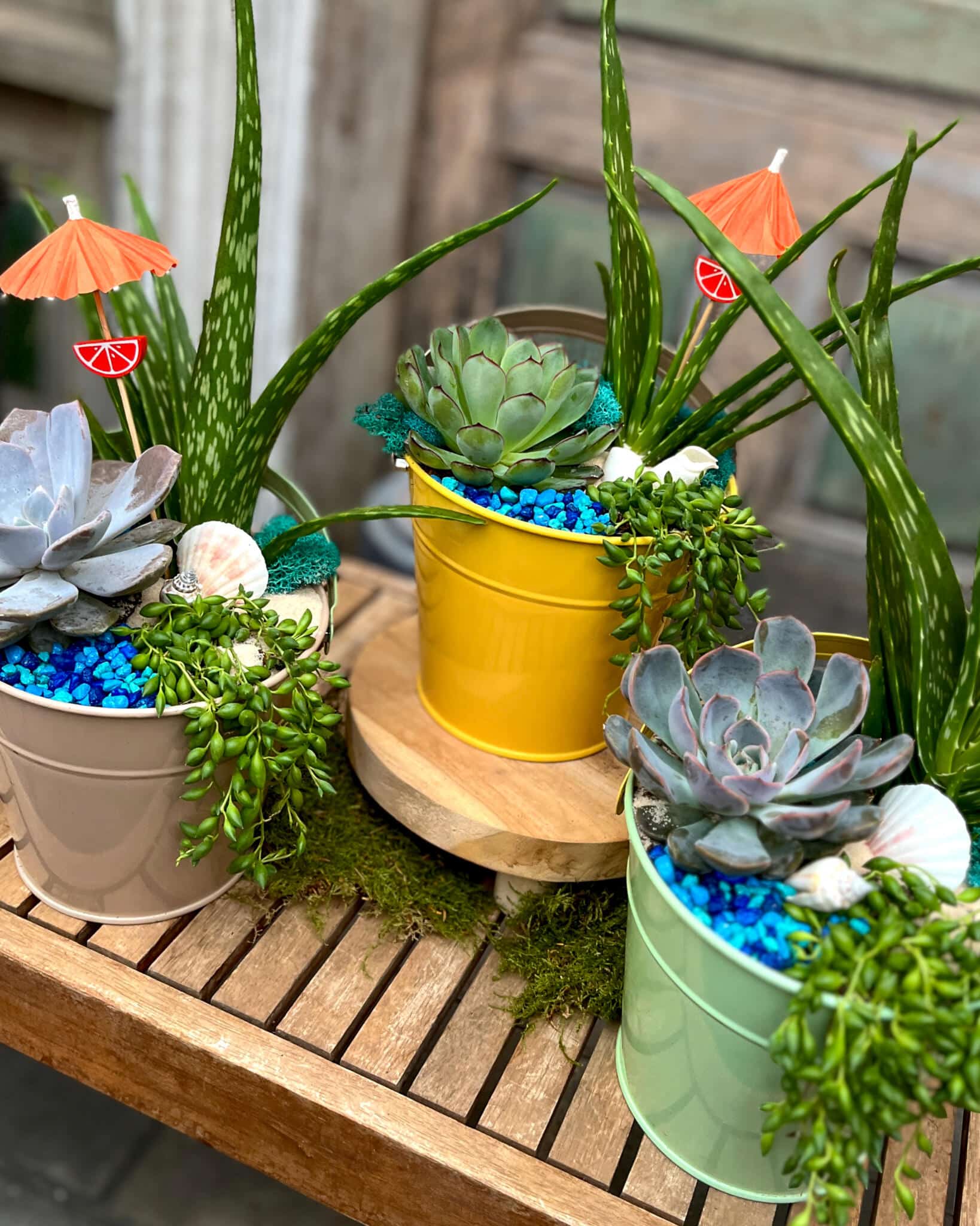 A group of beach-themed succulent pails in mint, yellow, and taupe with cocktail umbrellas, seashells, and blue pebbles.