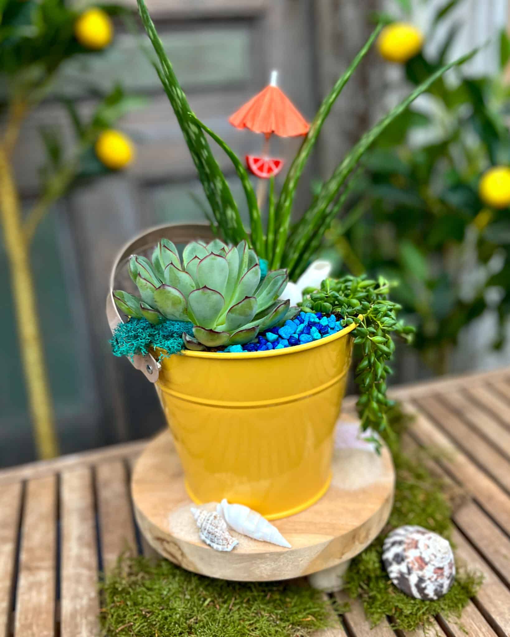A bright yellow metal pail of succulents styled as a beach with blue glass pebbles, a cocktail umbrella, and seashells.