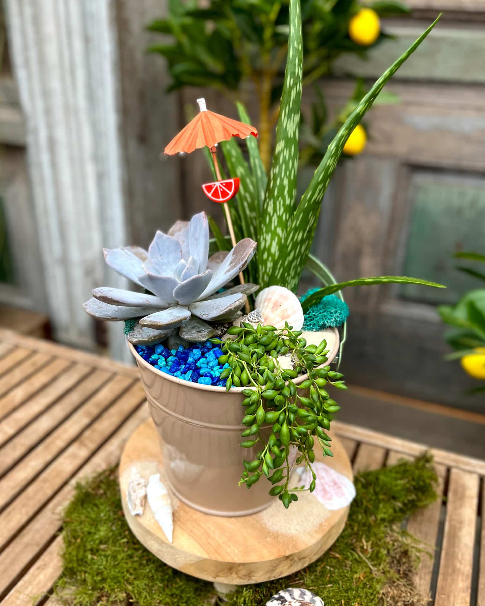 A taupe metal pail of succulents styled as a tiny beach with blue glass pebbles, a cocktail umbrella, and seashells, seen from above.
