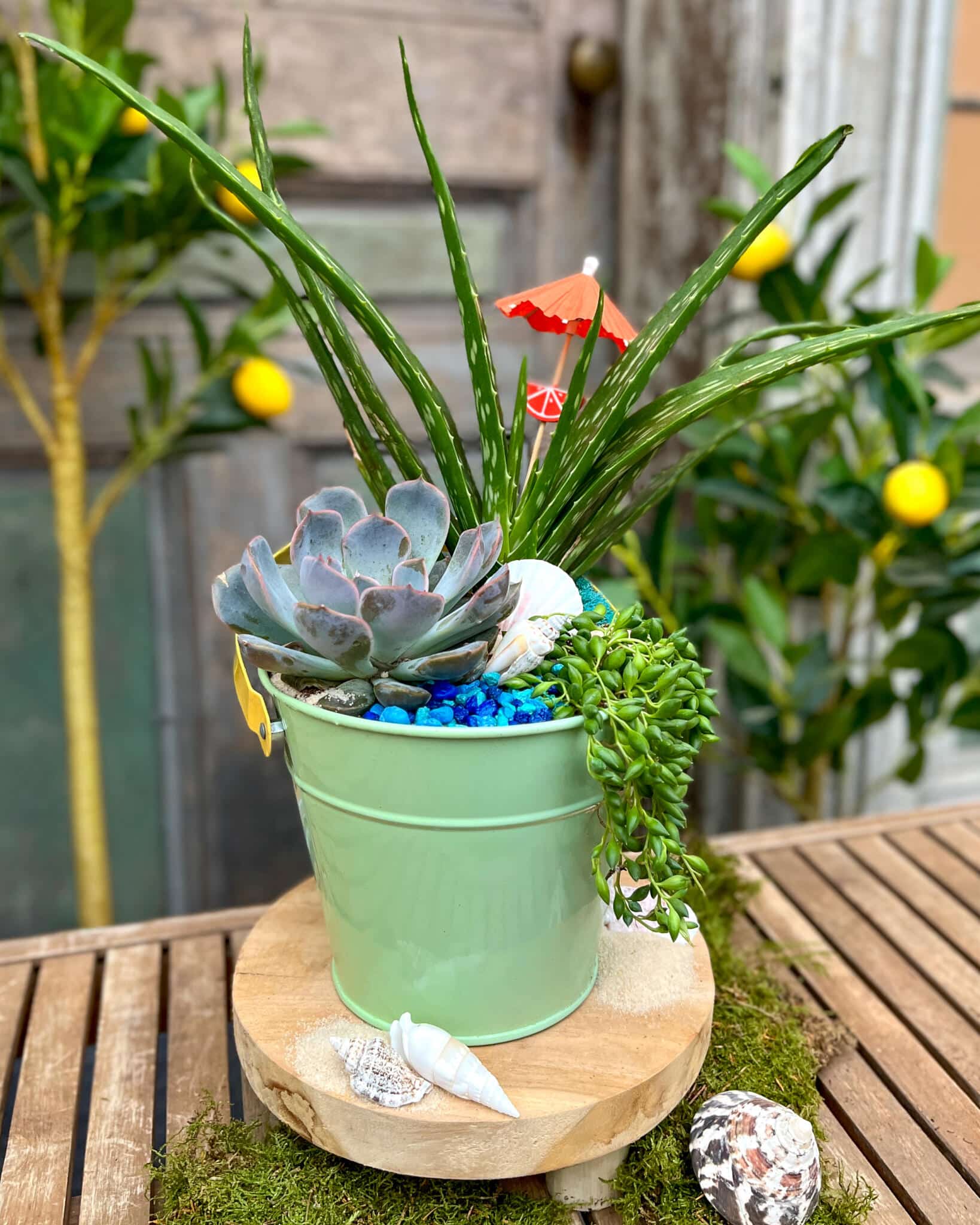 A mint-green pail planted with aloe, a blue-grey rosette succulent, and trailing beads, with blue glass pebbles, a tiny cocktail umbrella, and seashells.