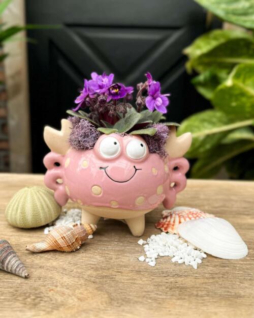 Pinchy Pink